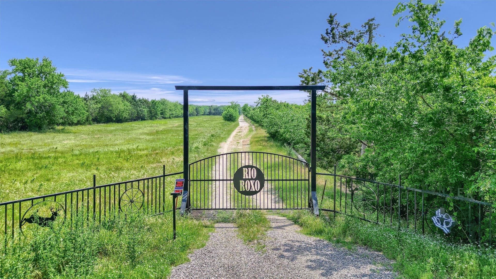 13 acres in Grayson County - photo 16