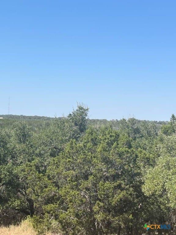 2.18 acres in Comal County - photo 3