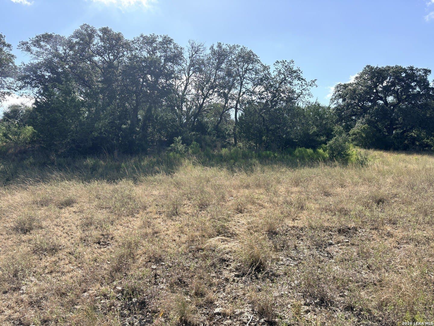 1.22 acres in Comal County - photo 19
