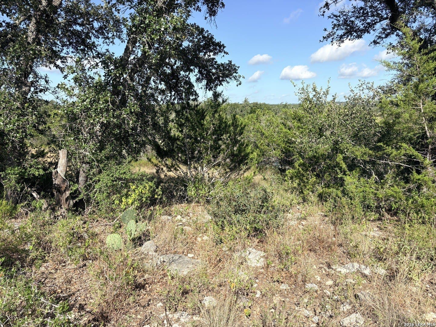 1.22 acres in Comal County - photo 18