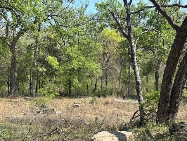 6.02 acres in Parker County gallery image 4