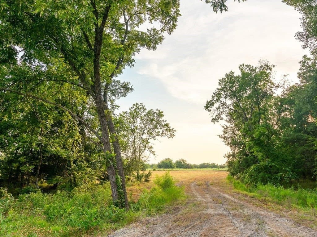 47 acres in Fannin County - photo 6