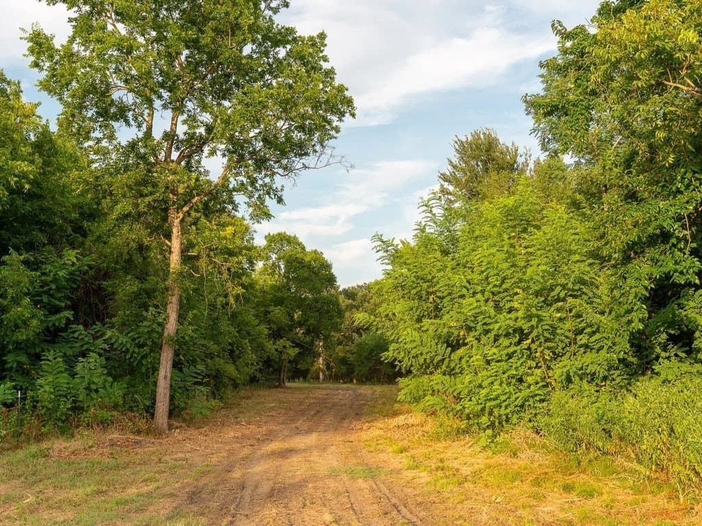 47 acres in Fannin County - photo 5