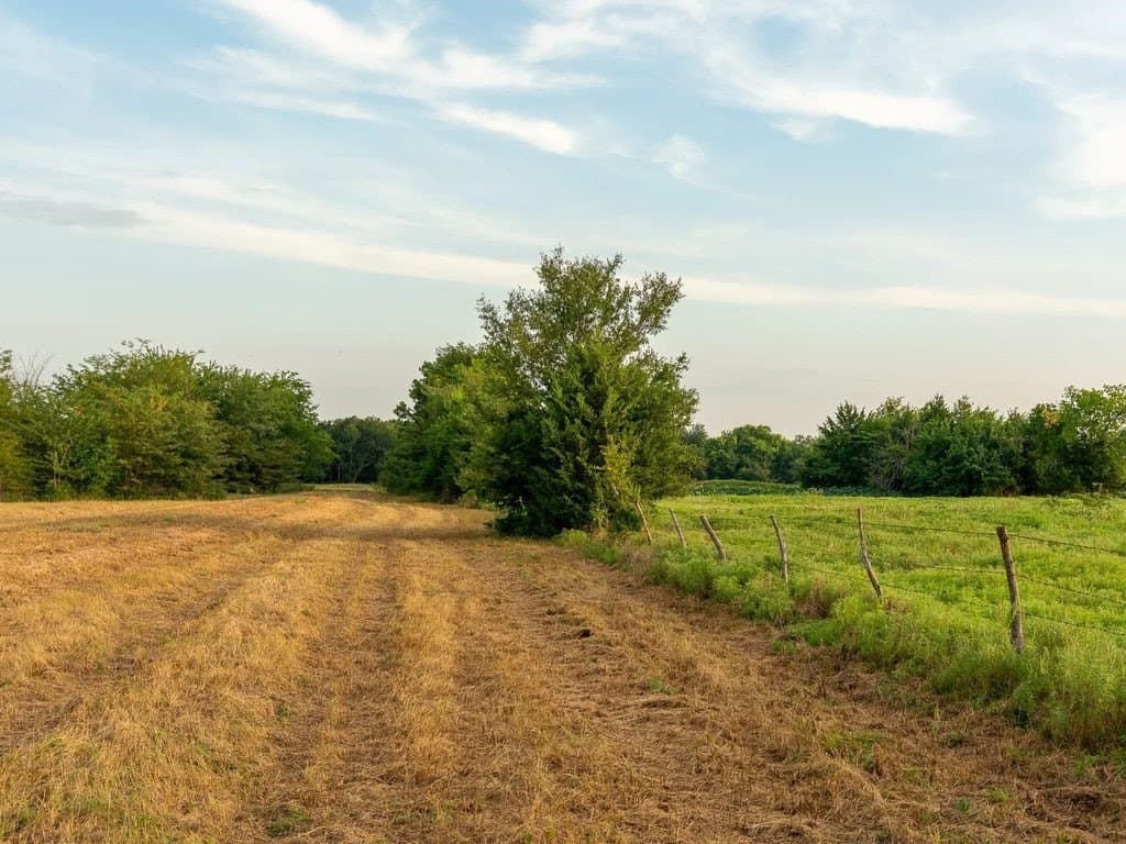 47 acres in Fannin County