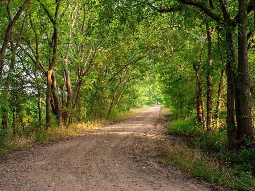 47 acres in Fannin County - photo 3