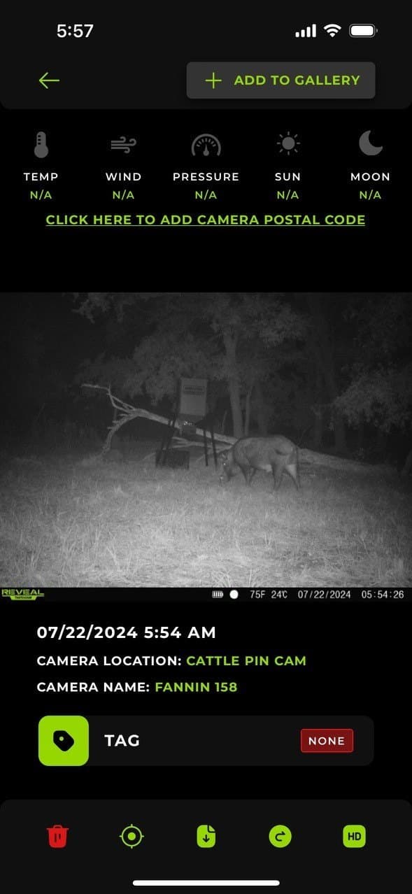 47 acres in Fannin County - photo 8