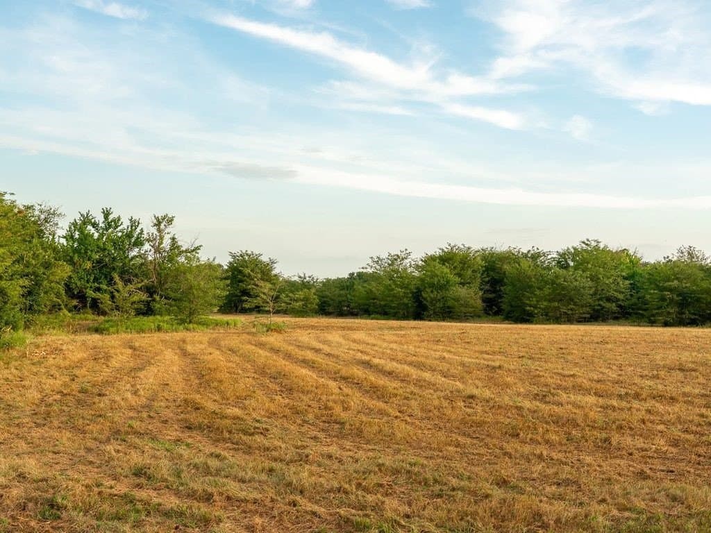 47 acres in Fannin County - photo 11