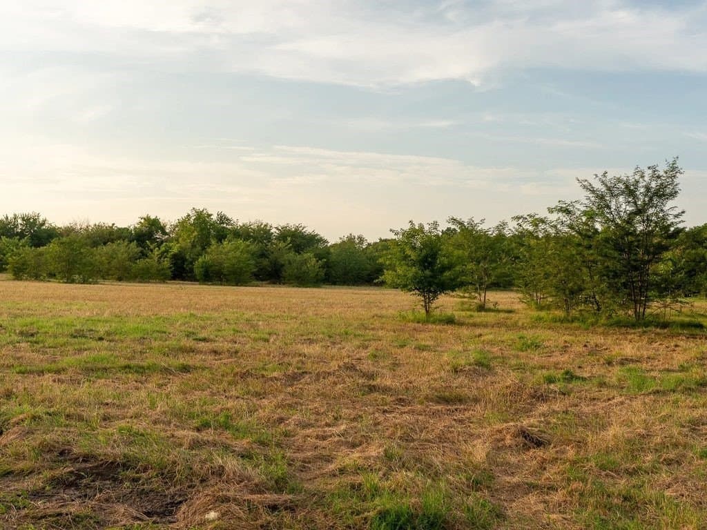 47 acres in Fannin County - photo 10