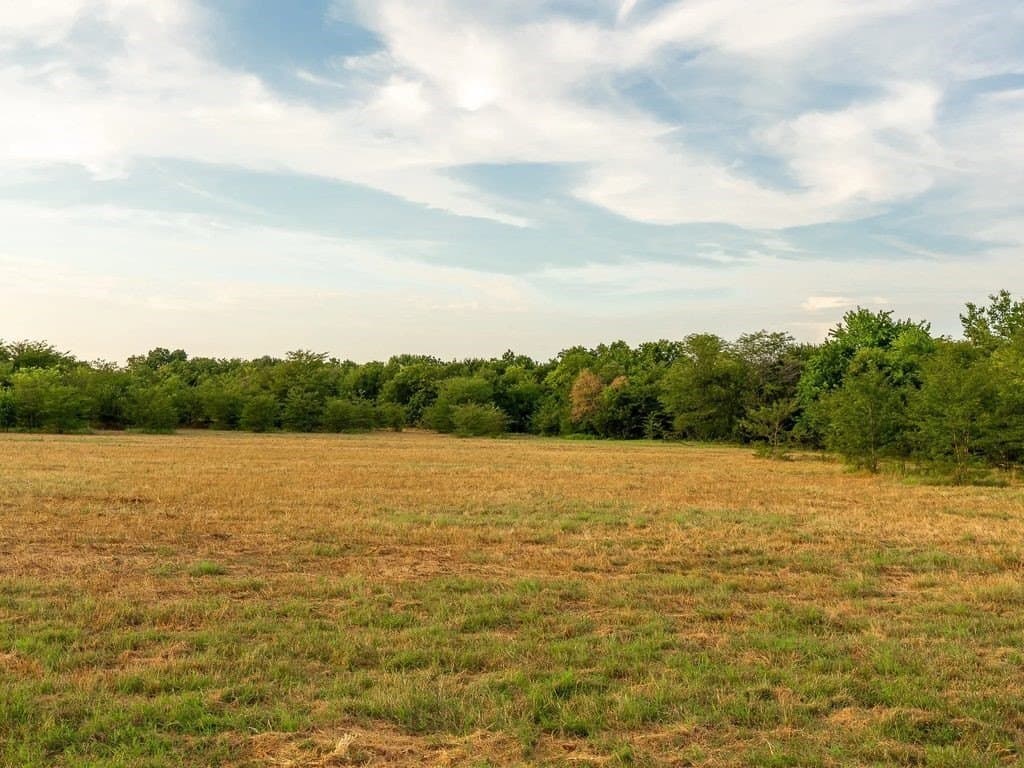 47 acres in Fannin County - photo 2