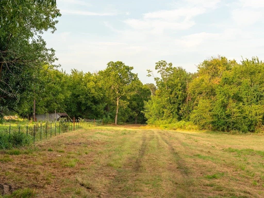 47 acres in Fannin County - photo 9