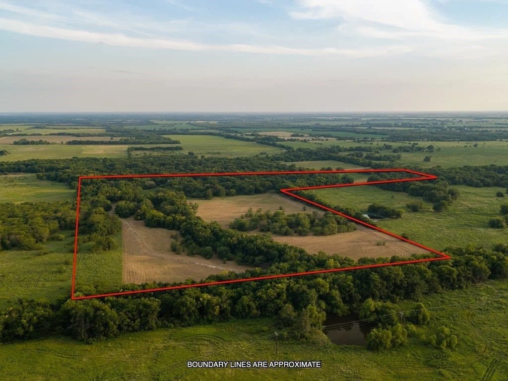 47 acres in Fannin County - photo 14