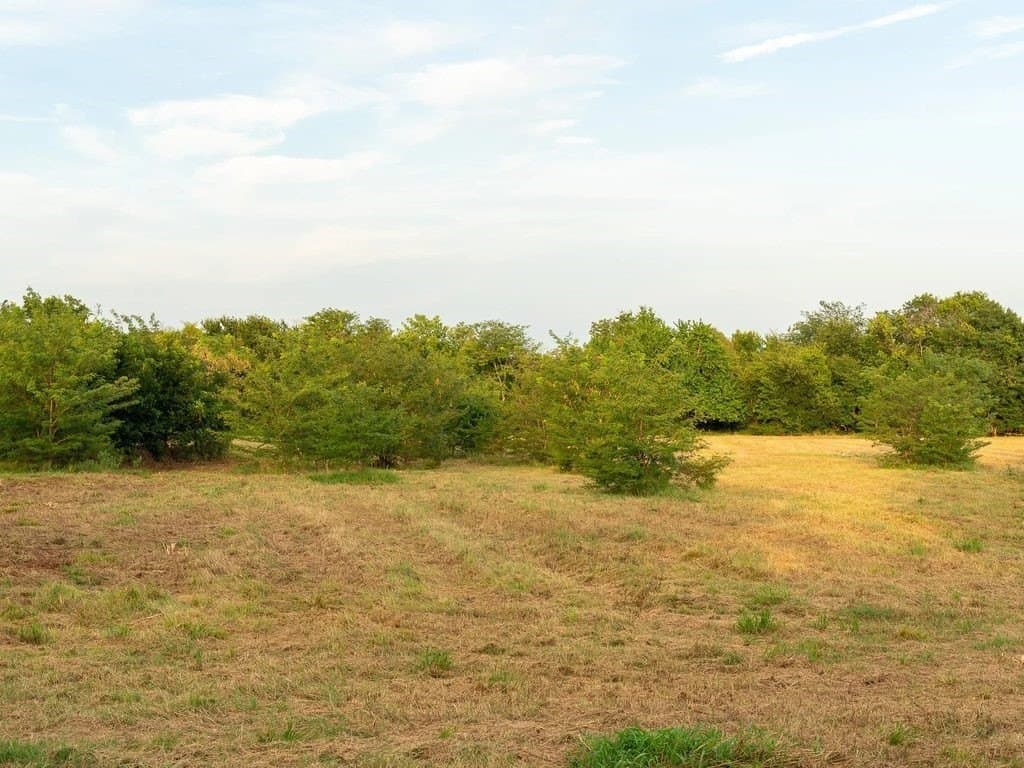 47 acres in Fannin County - photo 4