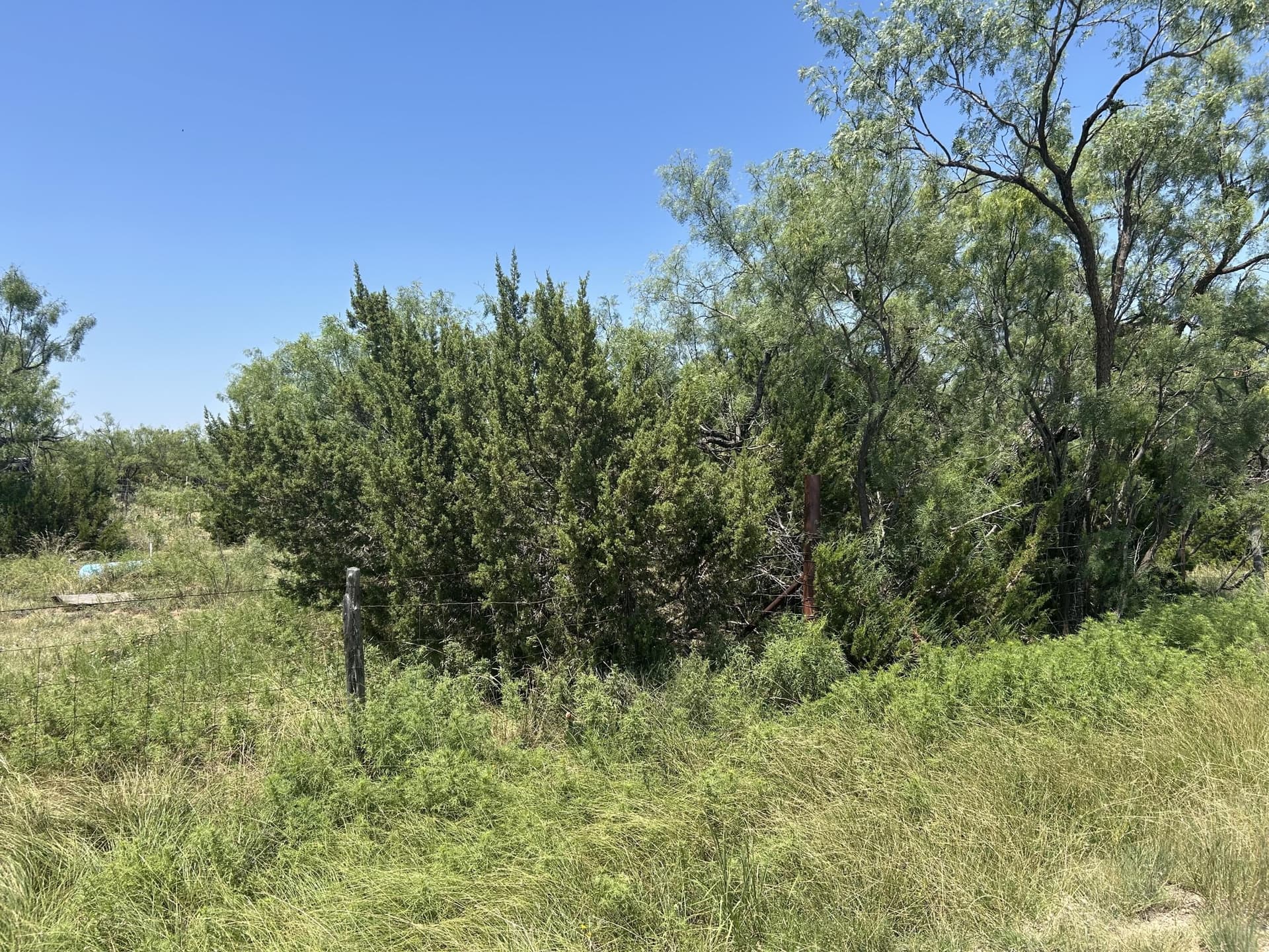 20.01 acres in Tom Green County gallery image 4