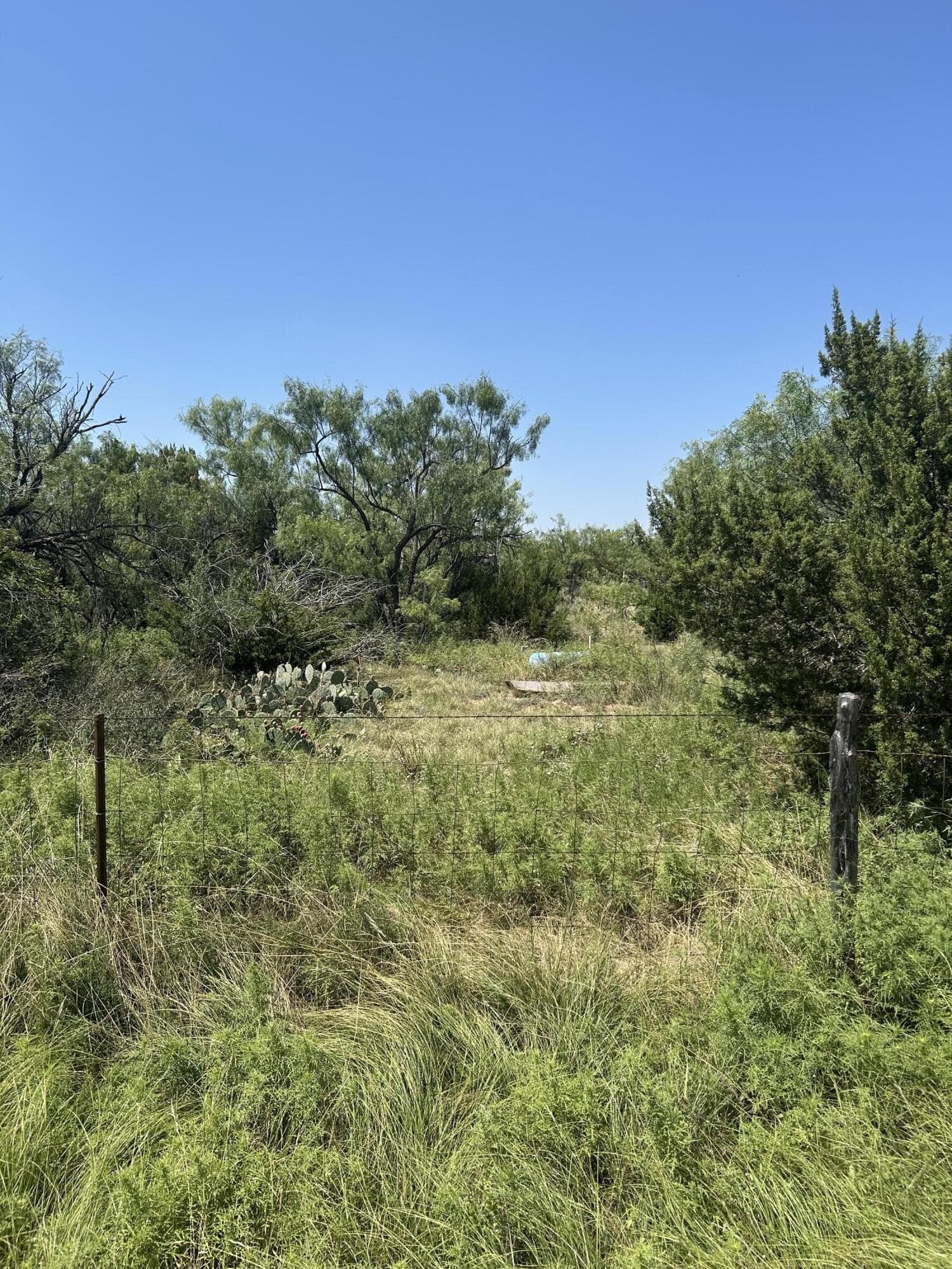 20.01 acres in Tom Green County featured view