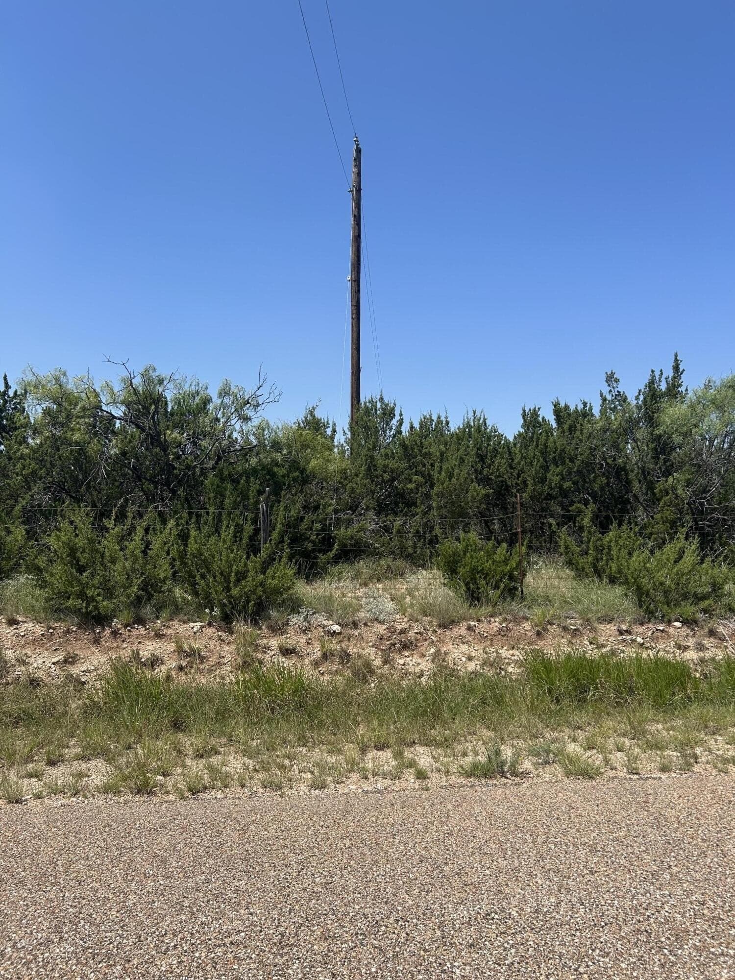 20.01 acres in Tom Green County gallery image 3