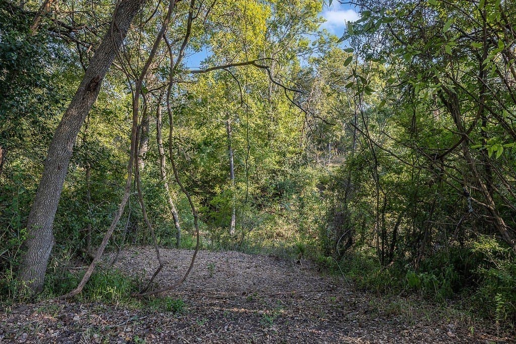 8.08 acres in Fayette County gallery image 3