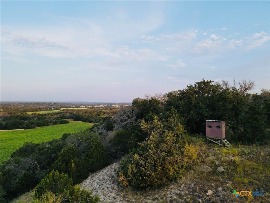 125 acres in Coryell County gallery image 3