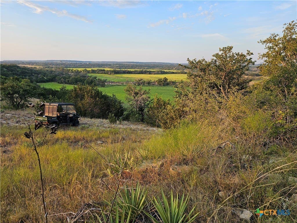 125 acres in Coryell County gallery image 2