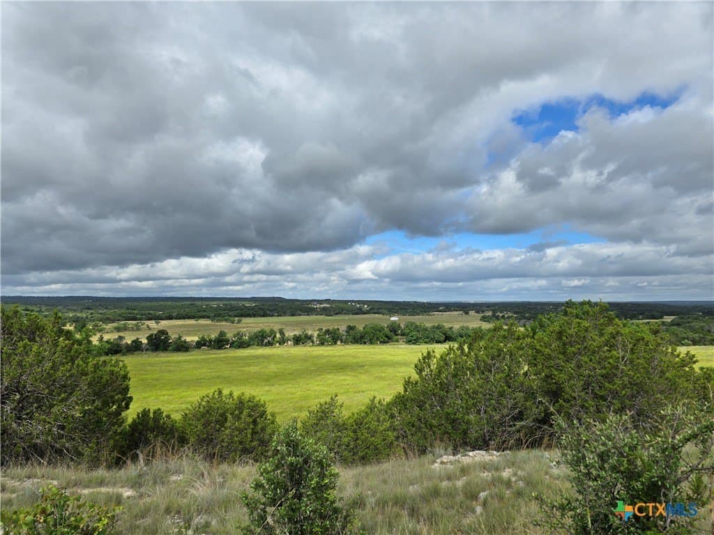125 acres in Coryell County gallery image 4