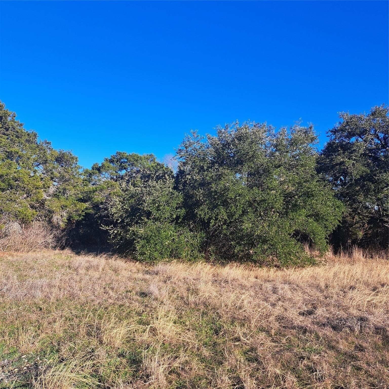 0.4 acres in Johnson County - photo 10