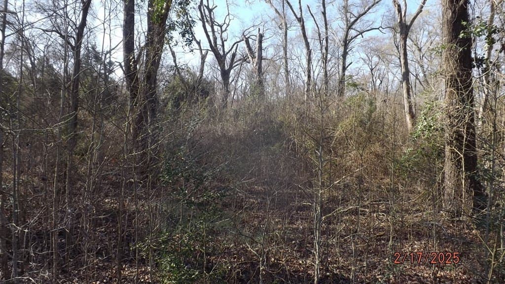 4.53 acres in FREESTONE County gallery image 2