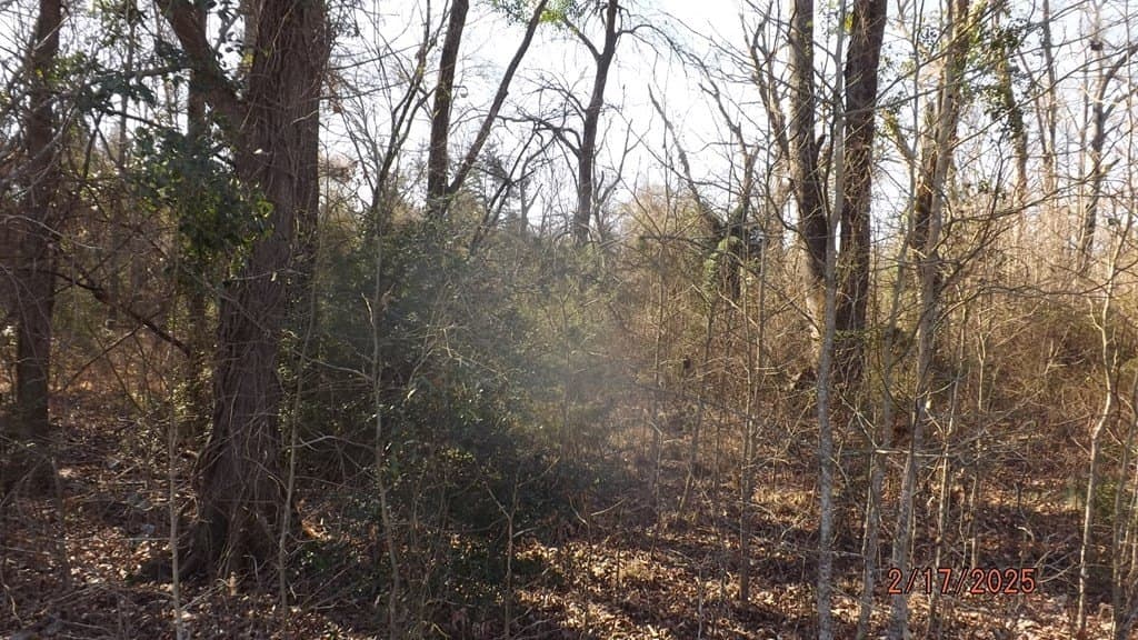 4.53 acres in FREESTONE County gallery image 3