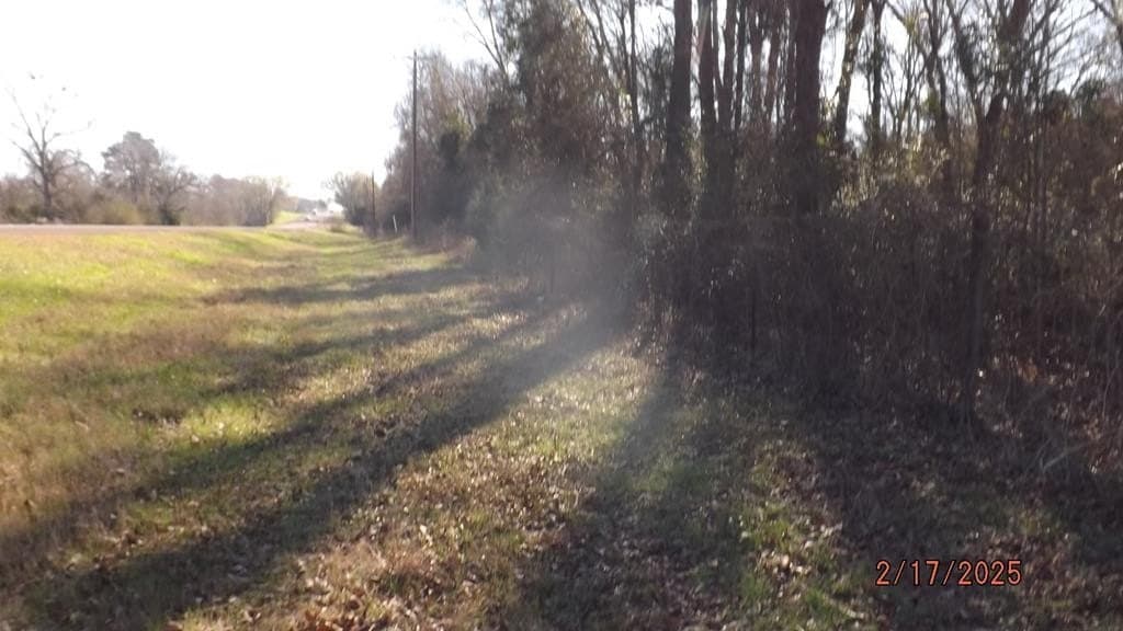 4.53 acres in FREESTONE County gallery image 4