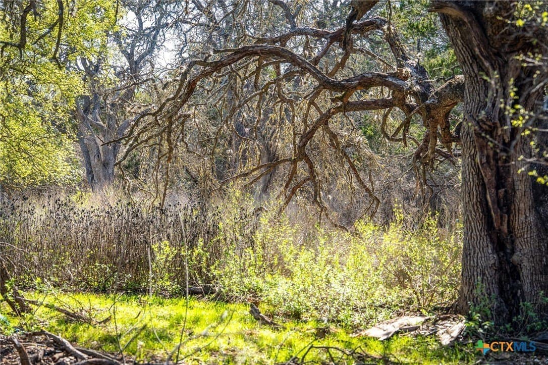 11.93 acres in Comal County - photo 24
