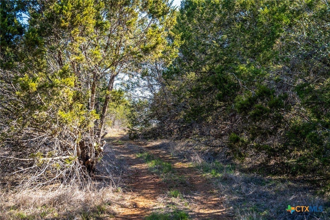 11.93 acres in Comal County - photo 22