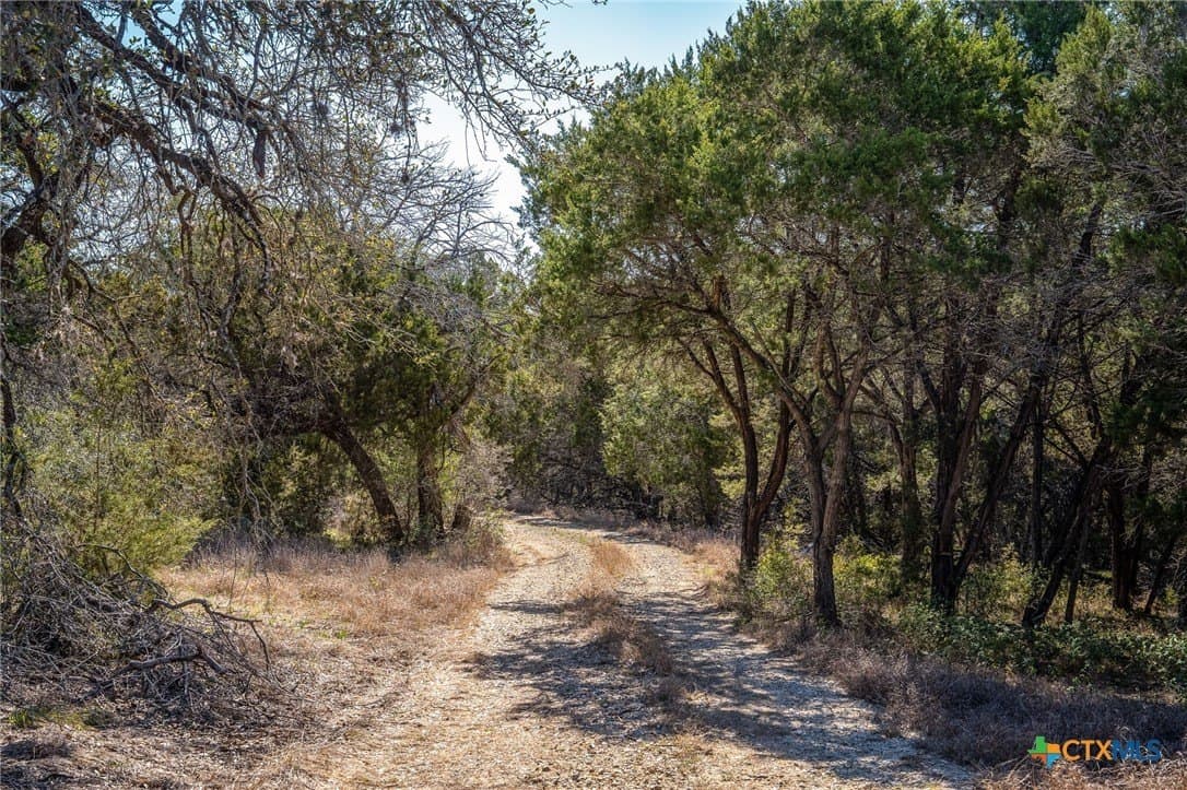 11.93 acres in Comal County - photo 27