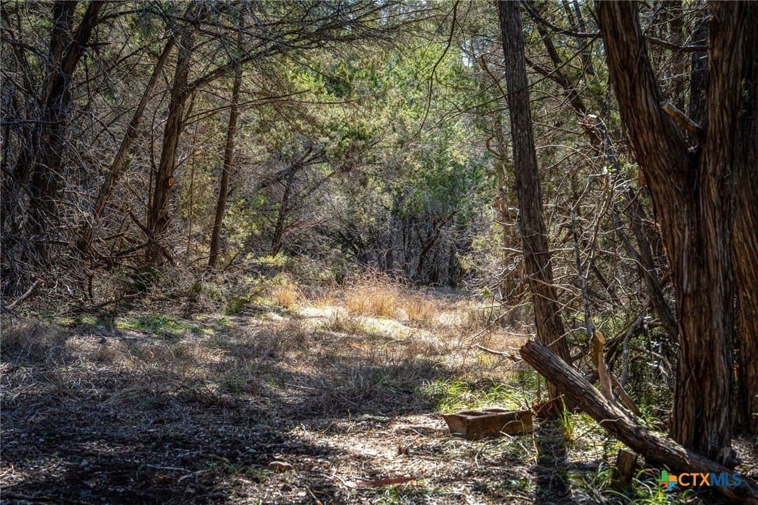 11.93 acres in Comal County - photo 25