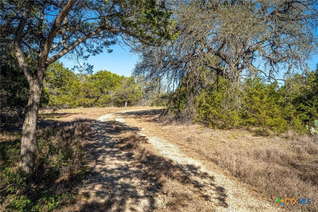 11.93 acres in Comal County - photo 9