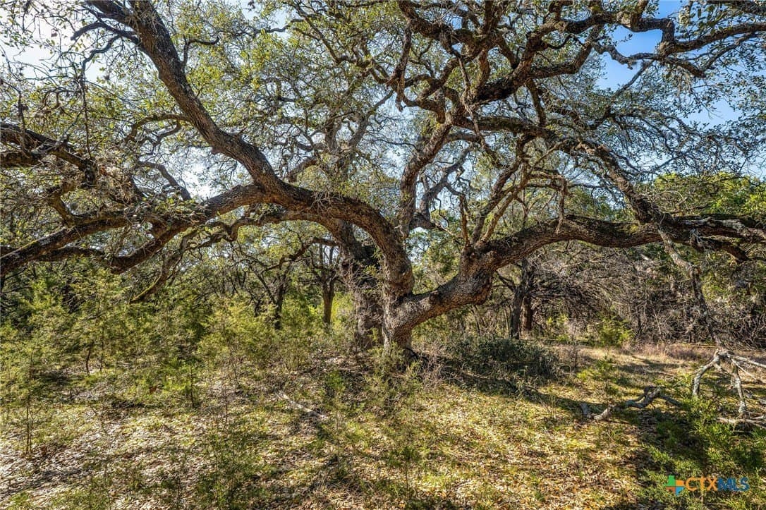 11.93 acres in Comal County - photo 8