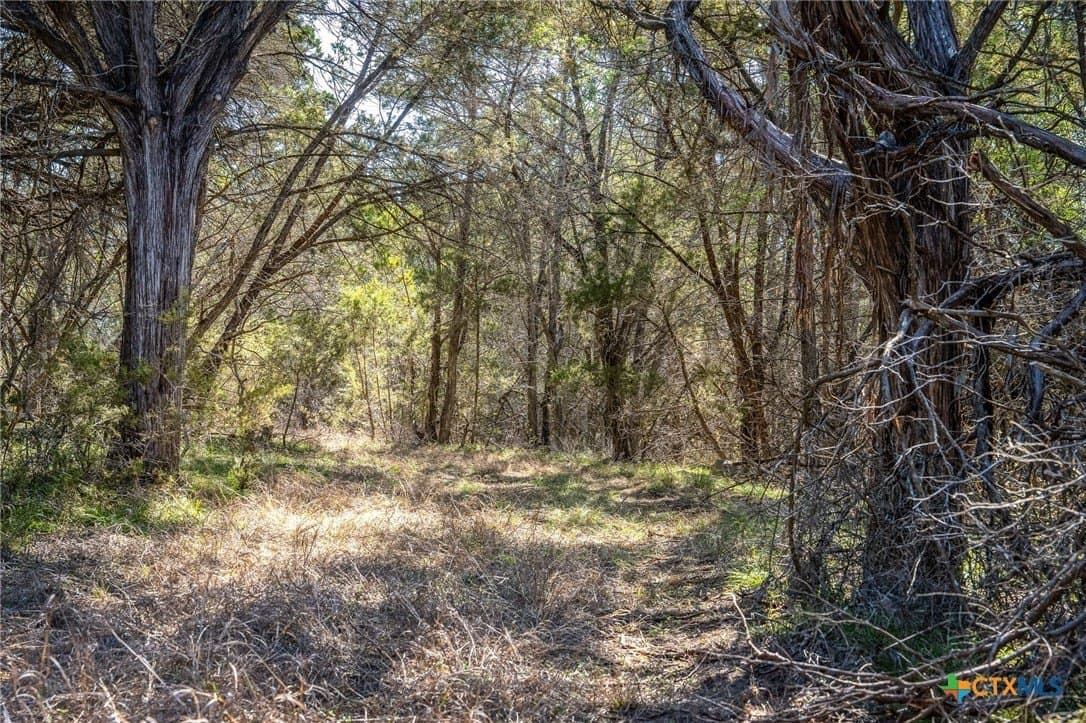 11.93 acres in Comal County - photo 26