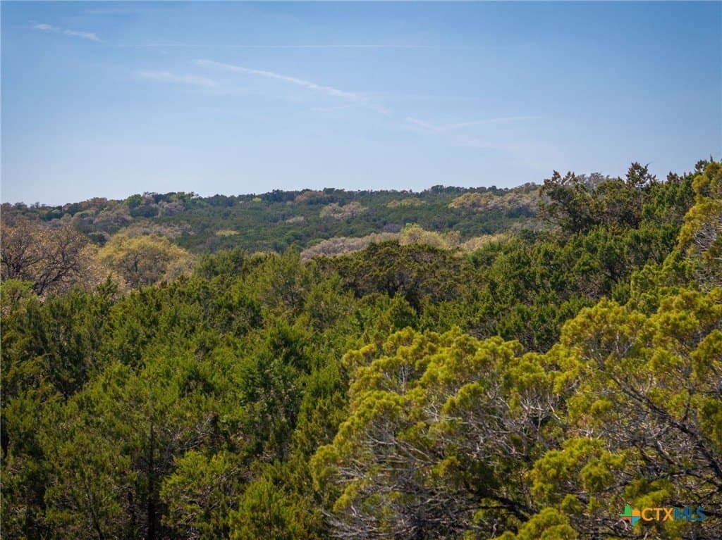 11.93 acres in Comal County - photo 33
