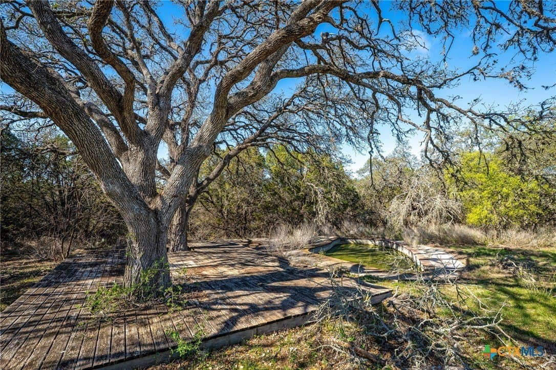 11.93 acres in Comal County - photo 13