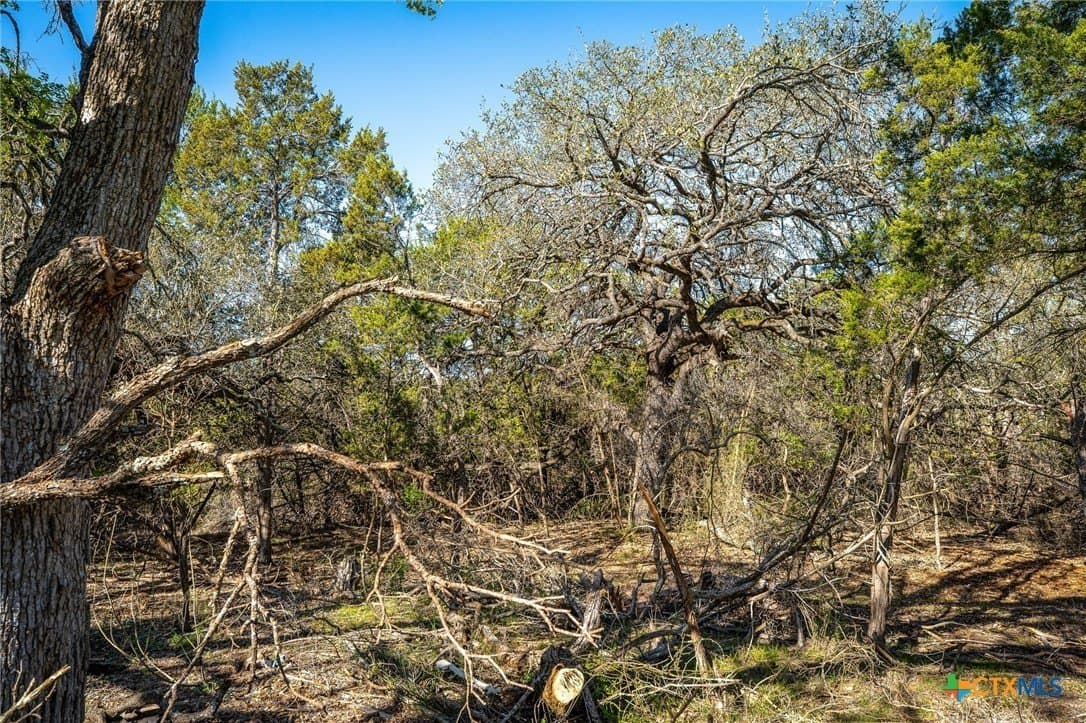 11.93 acres in Comal County - photo 18