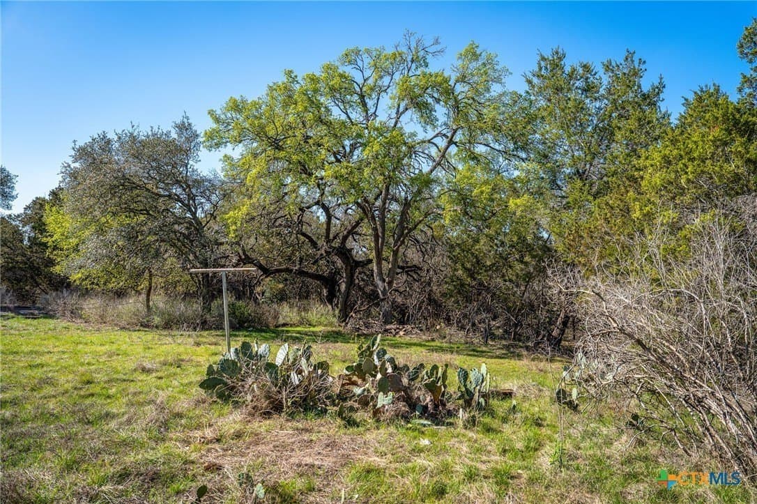 11.93 acres in Comal County - photo 23