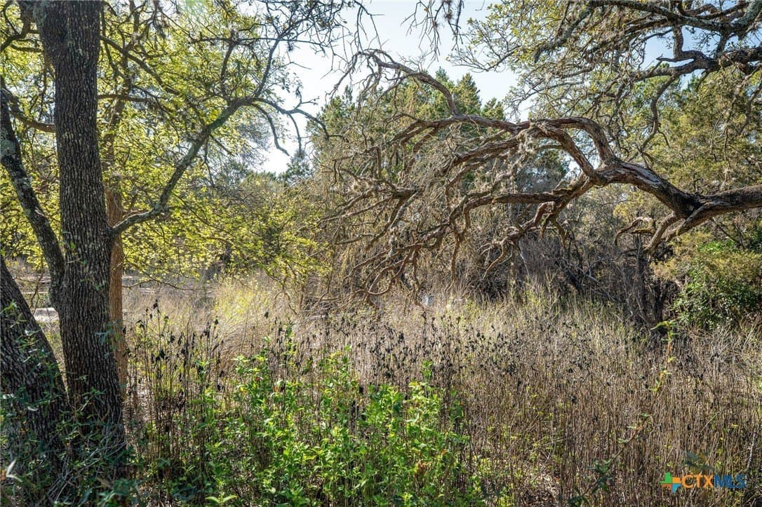 11.93 acres in Comal County - photo 19