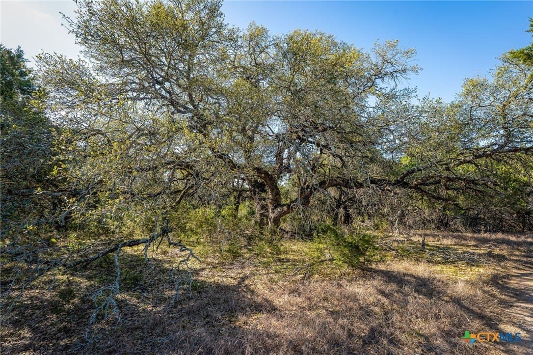 11.93 acres in Comal County - photo 7
