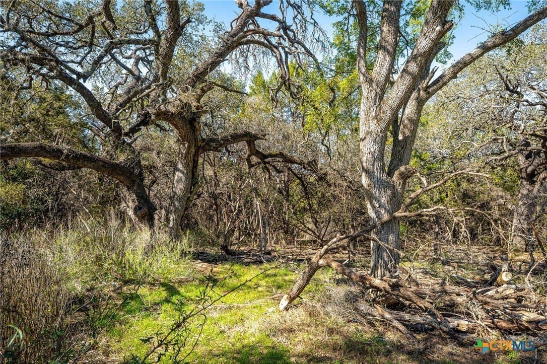 11.93 acres in Comal County - photo 17