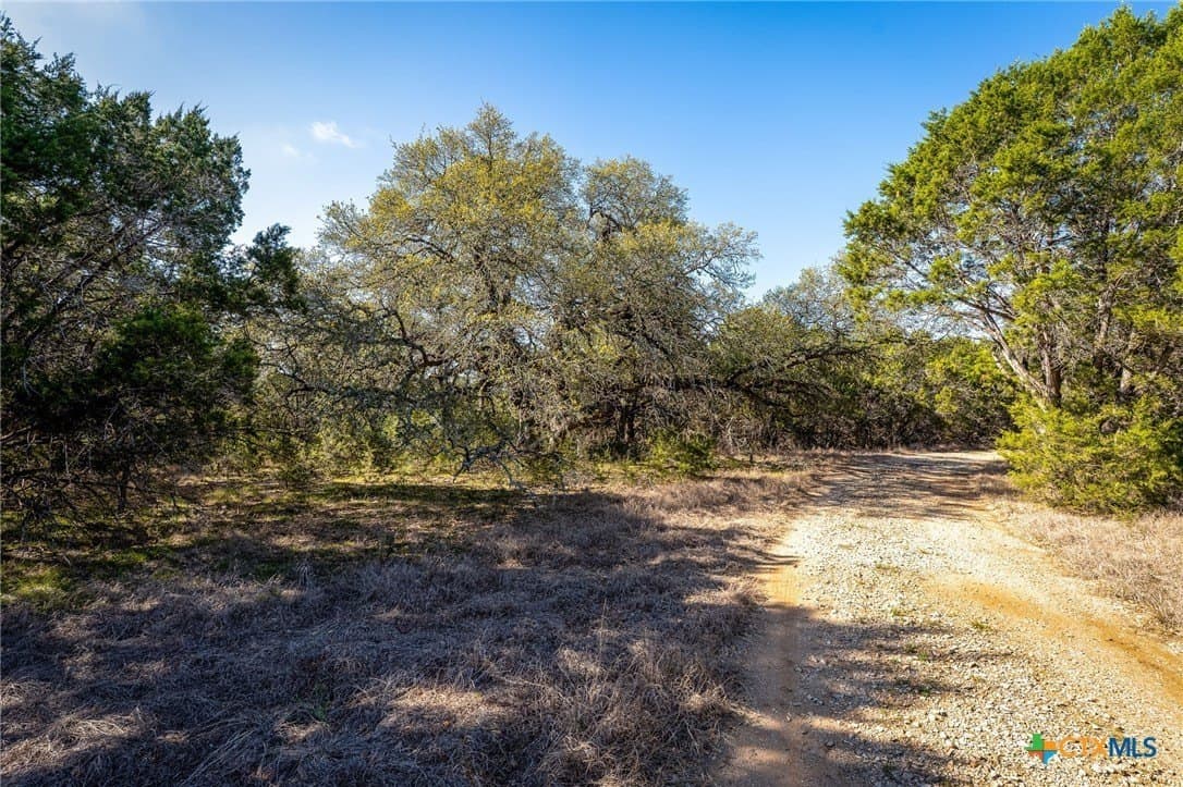 11.93 acres in Comal County - photo 6
