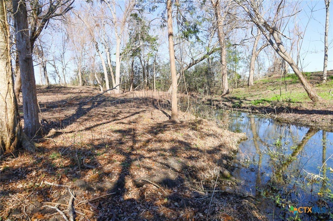 2.41 acres in Lavaca County gallery image 2