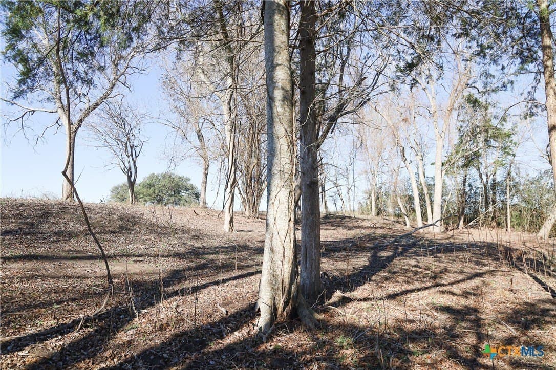 2.41 acres in Lavaca County gallery image 4