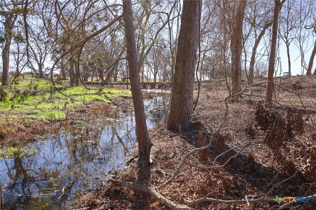 2.41 acres in Lavaca County gallery image 3