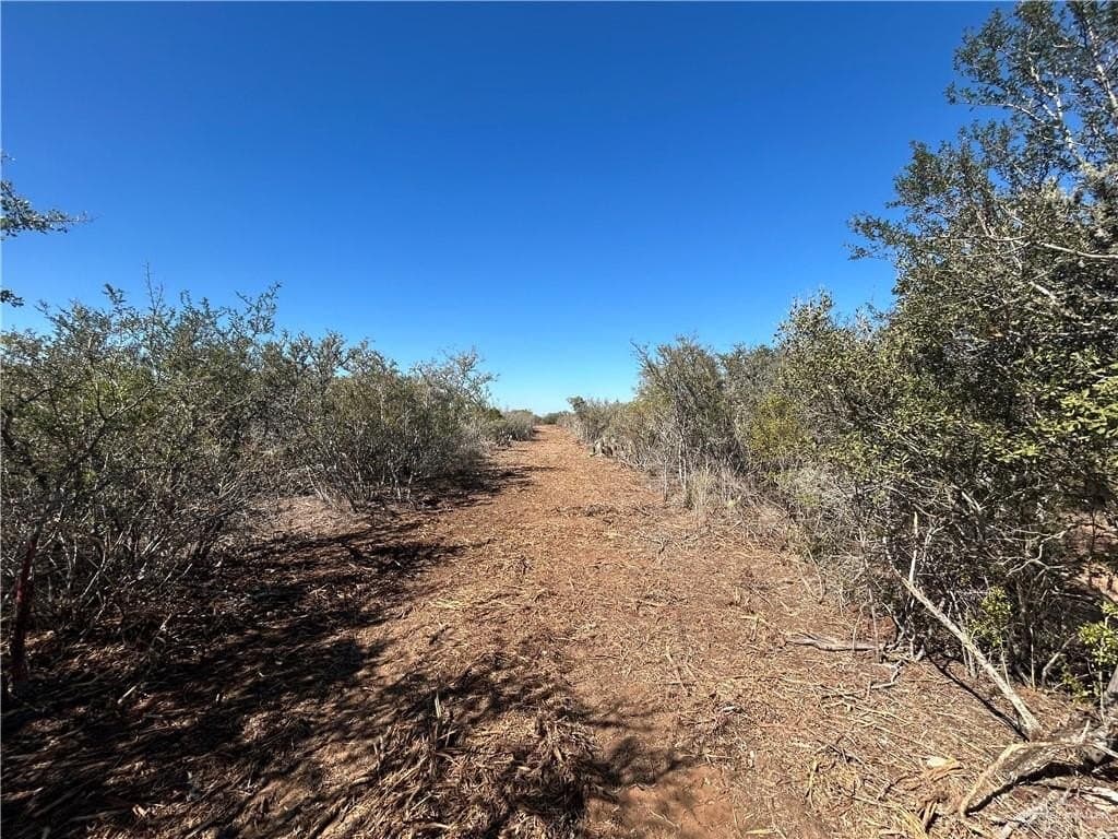 21.24 acres in Duval County - photo 12