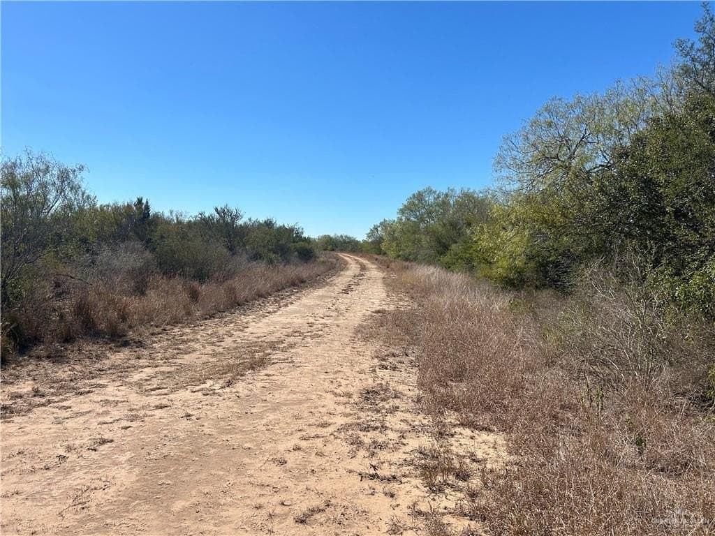 21.24 acres in Duval County - photo 18