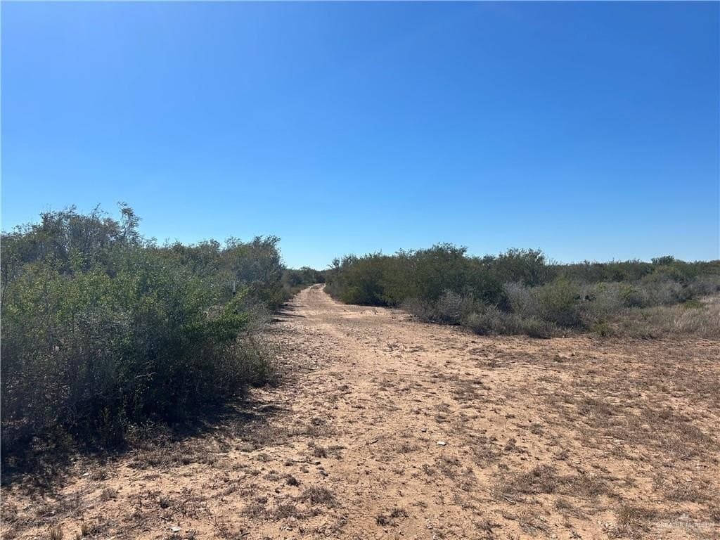 21.24 acres in Duval County - photo 14