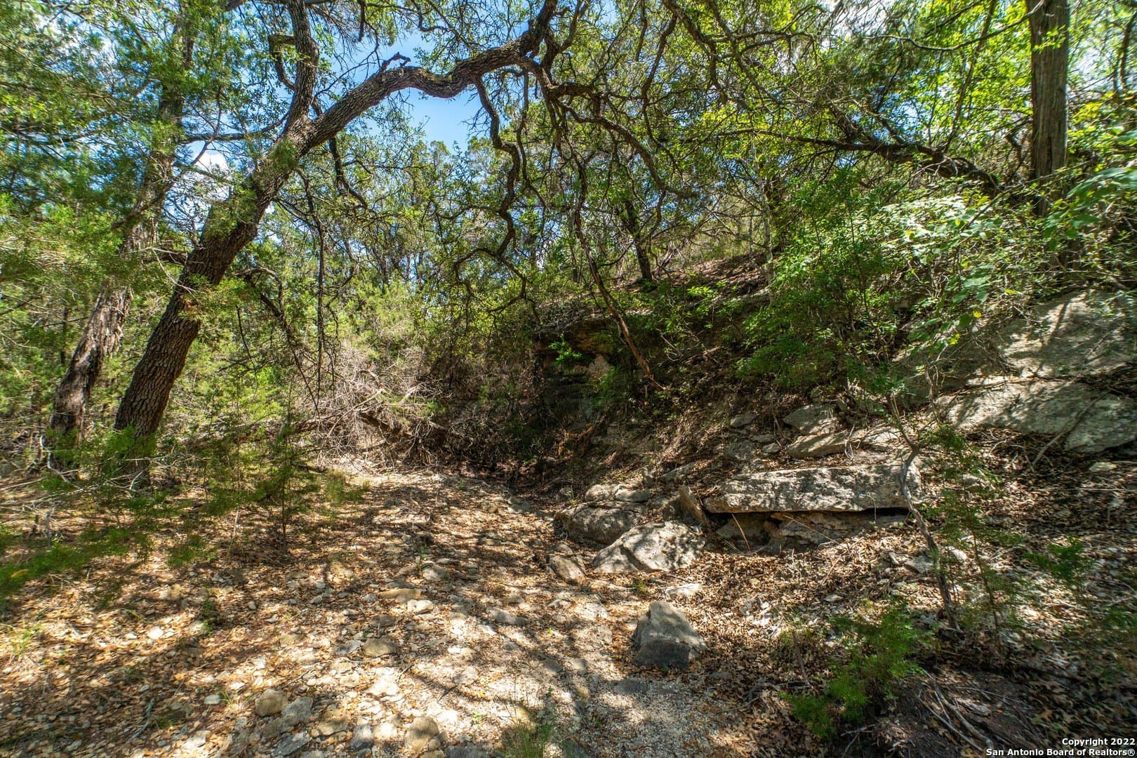 3.36 acres in Comal County - photo 7