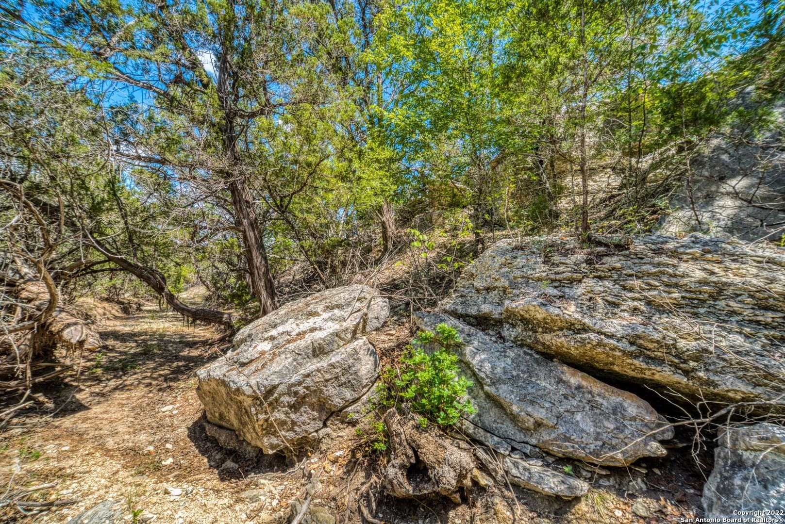 3.36 acres in Comal County - photo 6
